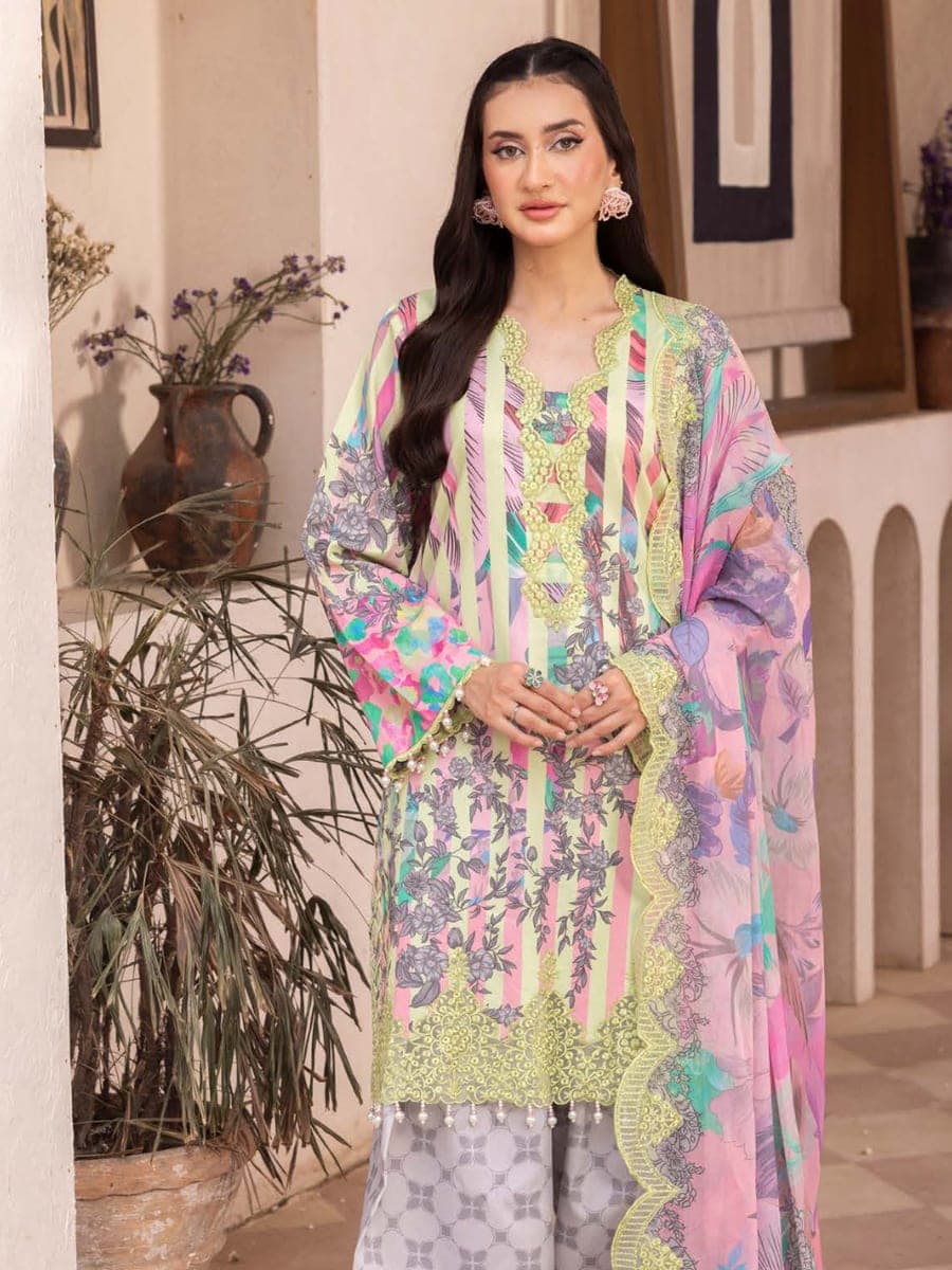 Pakistani Three Piece 24 — back view