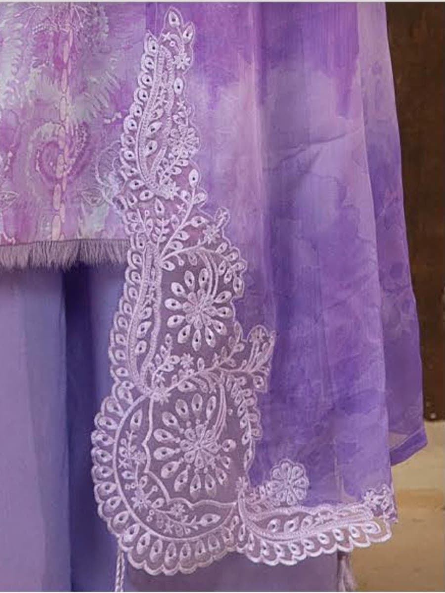 Pakistani Three Piece 29 — back view
