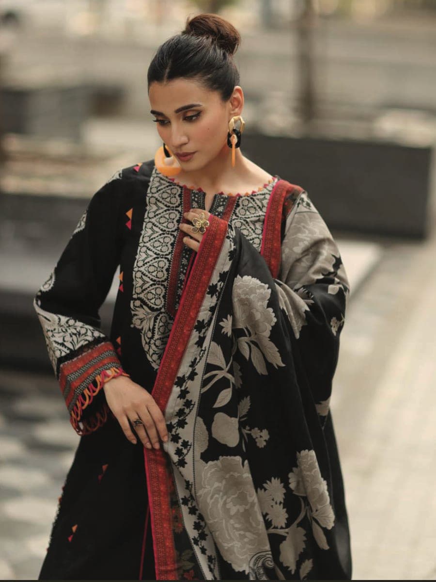 Pakistani Three Piece 32 — back view
