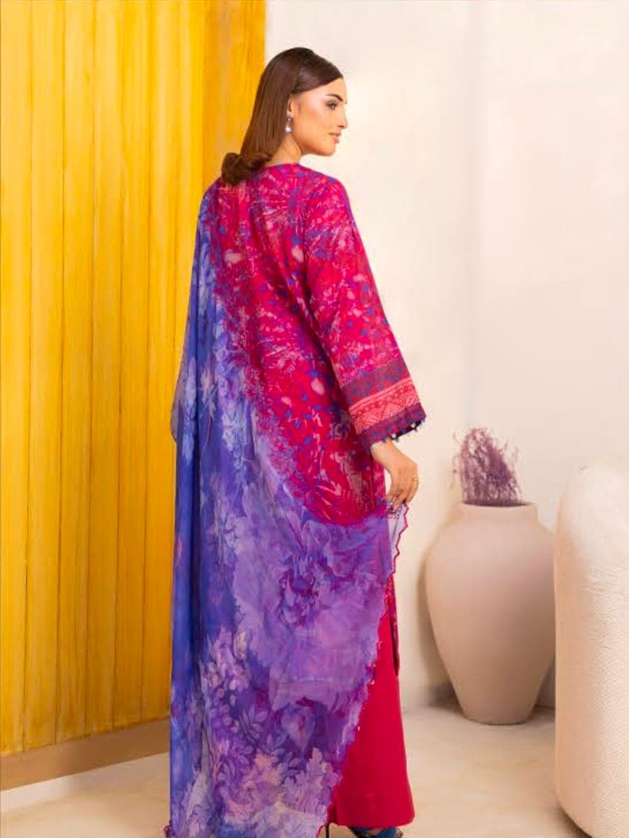 Pakistani Three Piece 34 — back view