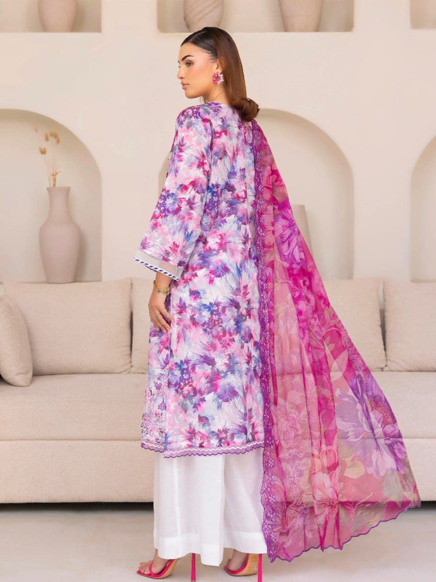 Pakistani Three Piece 38 — back view
