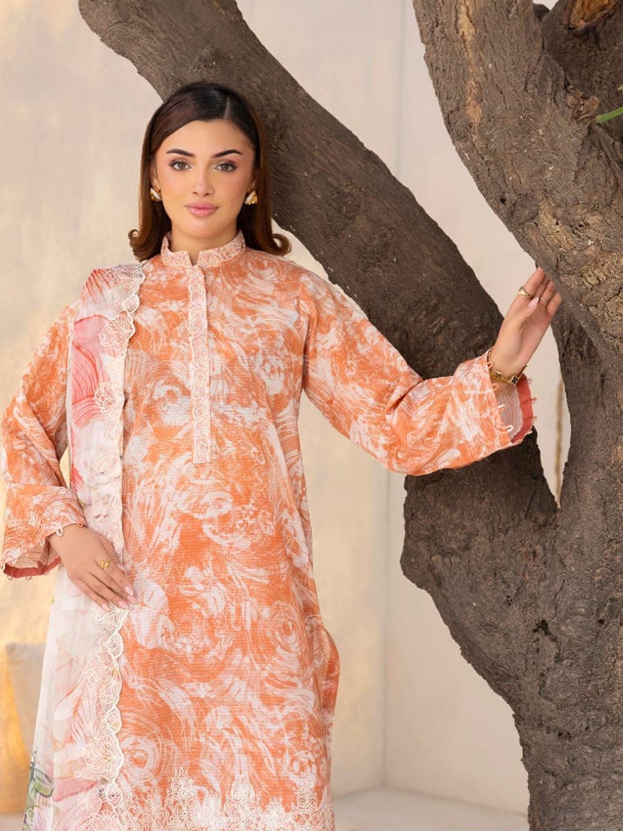 Pakistani Three Piece 39 — back view