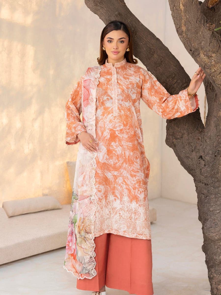 Pakistani Three Piece 39 — front view