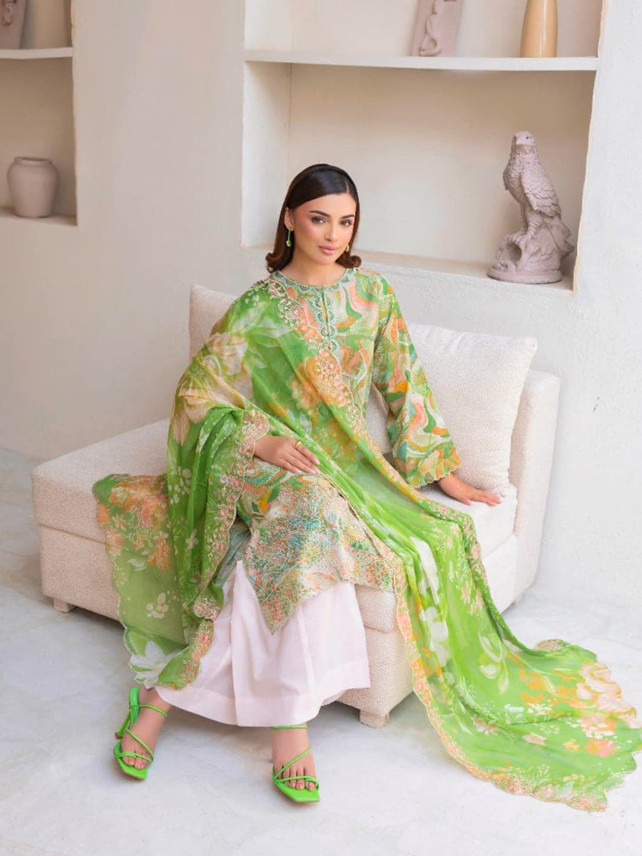 Pakistani Three Piece 41 — back view