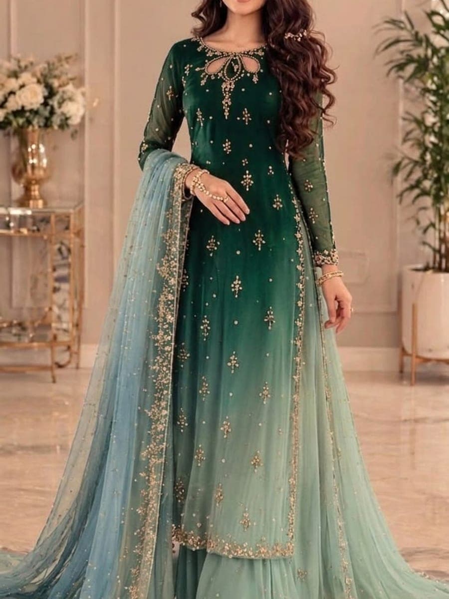 Pakistani Saree 06 — hero view